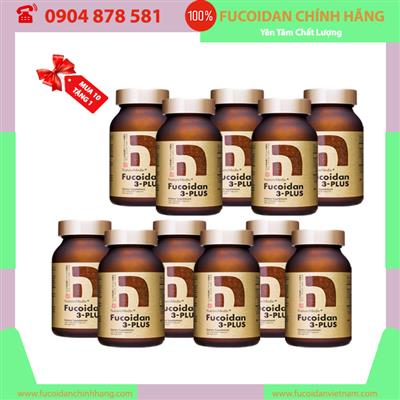 Gói 10 hộp Fucoidan 3 Plus - Hộp 160 viên, Tặng 1 Hộp 160 viên